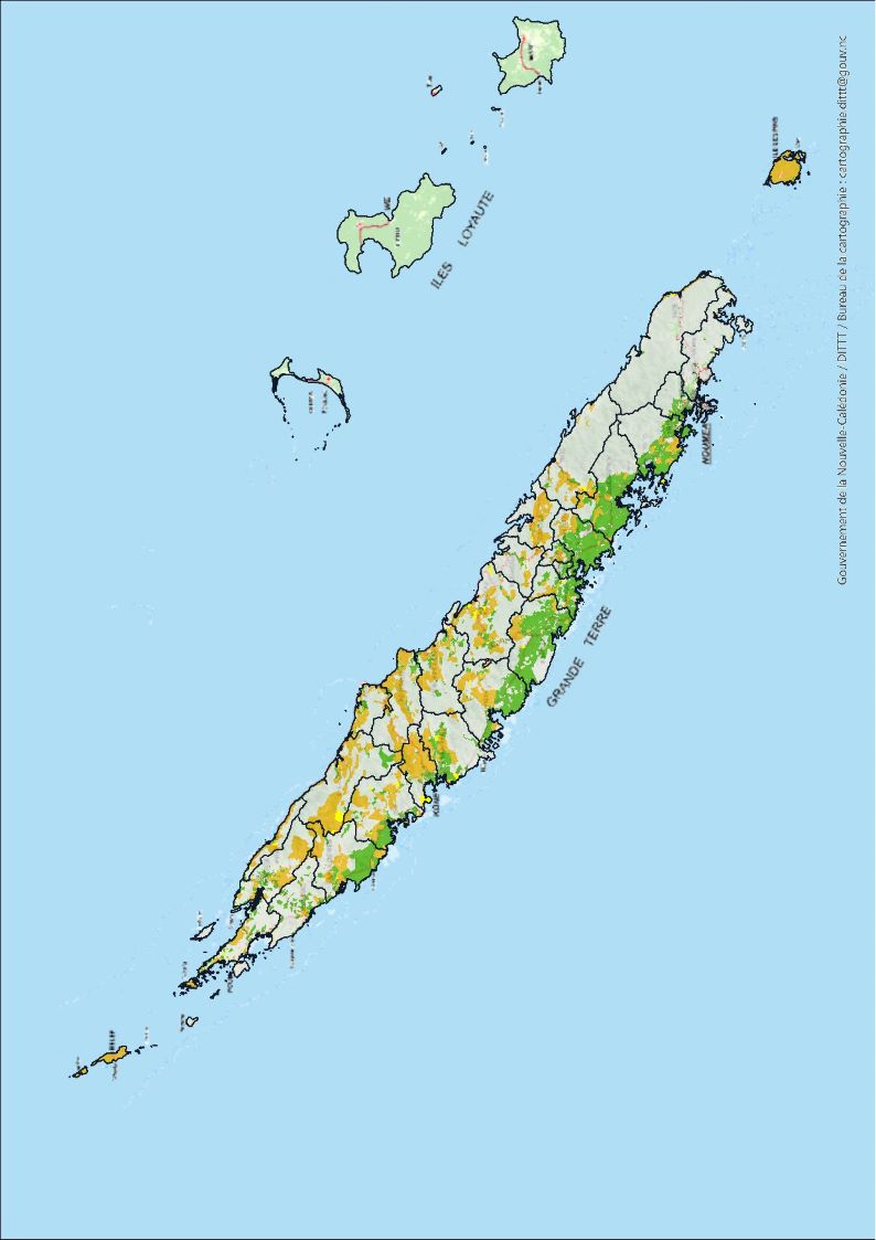 Cartographie